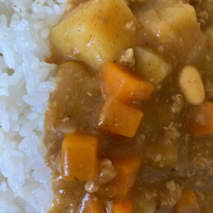 カレーに入れると、お豆も沢山食べれていいですね。
美味しく頂きました。
レシピありがとうございました。